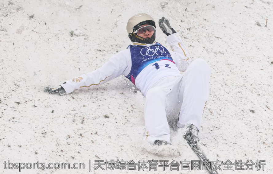 天博综合体育平台官网的安全性分析